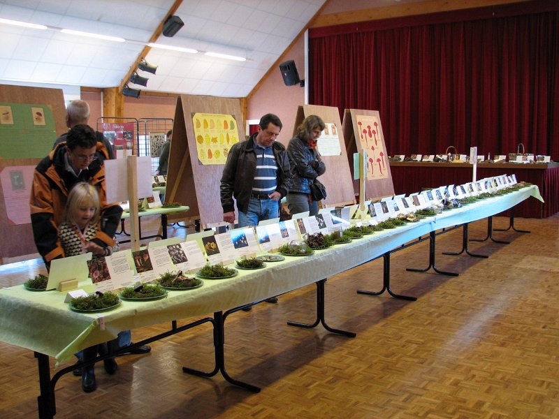 2009 10 Expo champignons de Clairefontaine 33